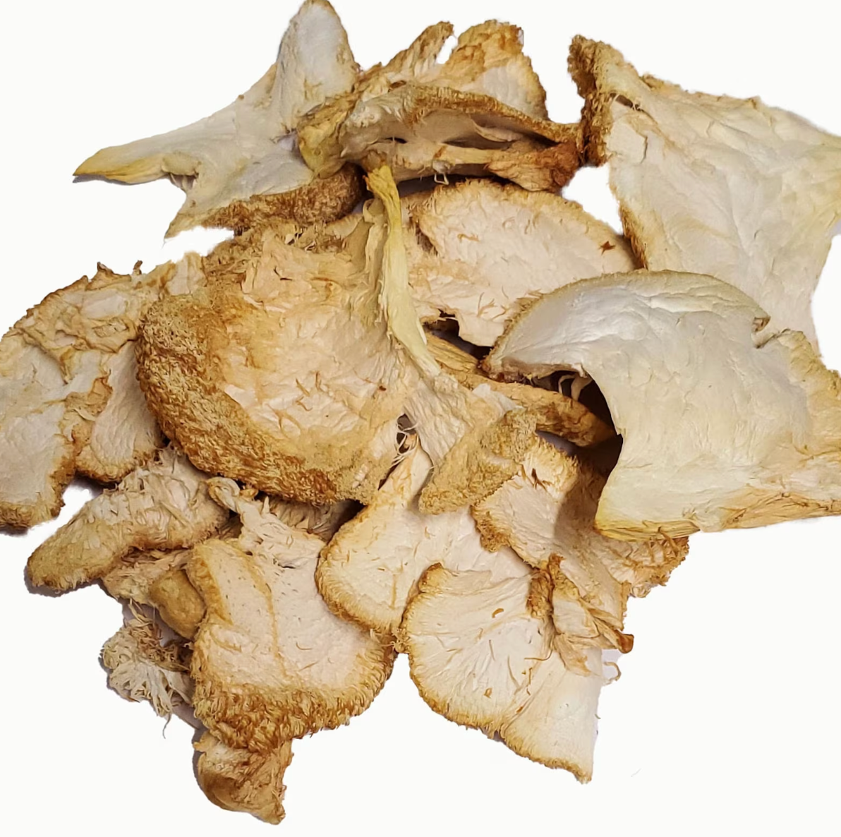 Dried Lions Mane